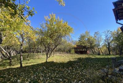 Casa+teren 2713 mp in loc. Babana, jud. Arges. Comision 0% - 4