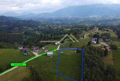 Teren Construcții intravilan de 4649 mp, în Moieciu - 3