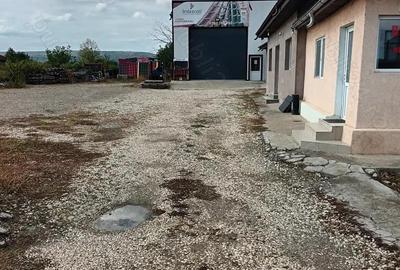 Hala de inchiriat Urechesti Vrancea E85 - 2