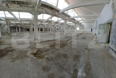 Parc Industrial, 84000 mp, Pucioasa - 8