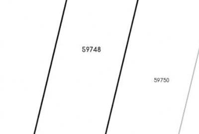Teren Construcții intravilan de 11800 mp, în Borș - 2