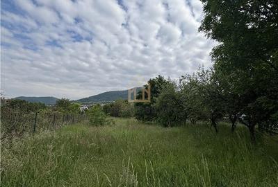 Teren de 3700 mp, în Valea Borcutului - 7