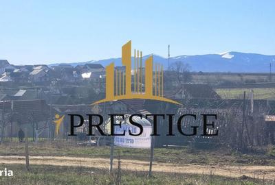 Spațiu comercial, în Cristian - 2