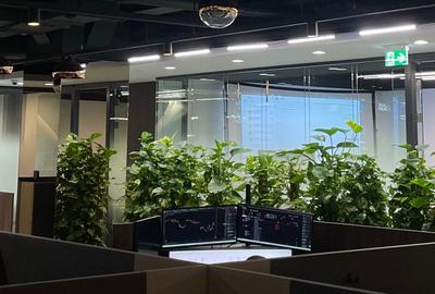 Spațiu de birou individual modern - 8