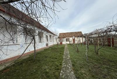 Casa de vanzare in Firiteaz, 24 km de Arad, 2787 metri patra?i. - 5