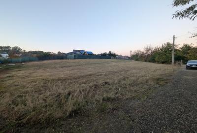 Teren Magura situat la strada asfaltata - 4