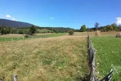 Teren de 2500 mp, în Valea Doftanei - 2