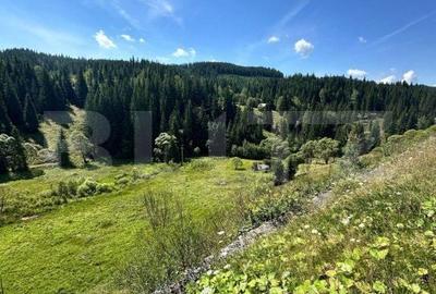 Teren de 6941 mp, în Iacobeni - 3