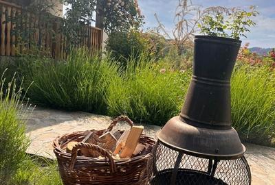 Casă cu 4 camere în Făget - 4