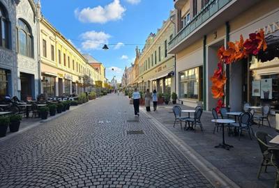 Bijuterie Art Nouveau in inima Oradiei - apartament ultracentral pe Str. Vasile - 1