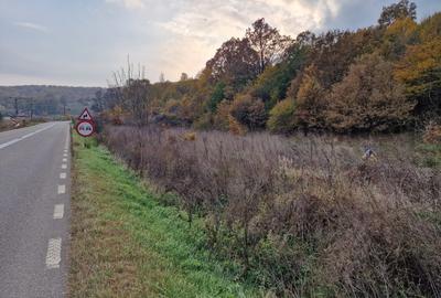 Teren în Moinești