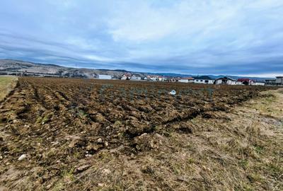 Teren Construcții intravilan de 34650 mp, în Central - 2