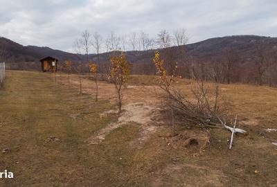 Spațiu comercial, în Mărunțișu - 2