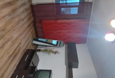 Garsonieră semidecomandată în Brazda lui Novac - 7