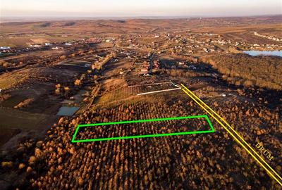 Teren intravilan de 5305 mp, în Paleu - 3