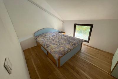 Vila la lac de inchiriat - 10