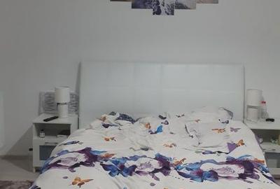 Apartament cu 3 camere decomandat în Fundeni - 3