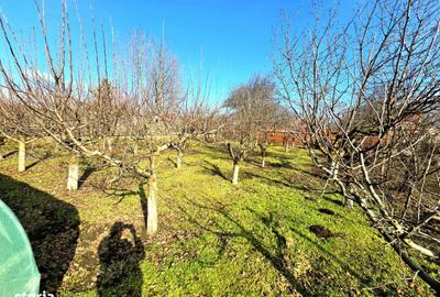 Casă cu 8 camere cu Teren 1146 Mp în Vânători - 16