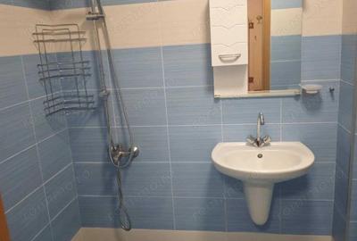 Apartament cu 1 camera in zona Mehala - 1