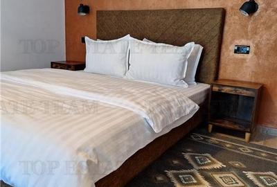 Pensiune premium de vanzare in Voronet  1.610 mp utili, teren 1.021 mp, afacere - 4