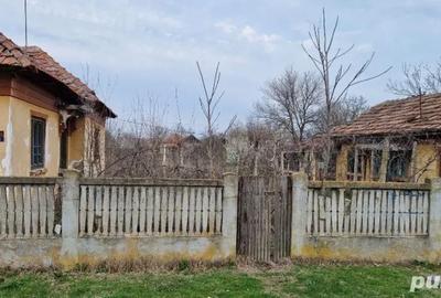 Teren de 1150 mp, în Goicea