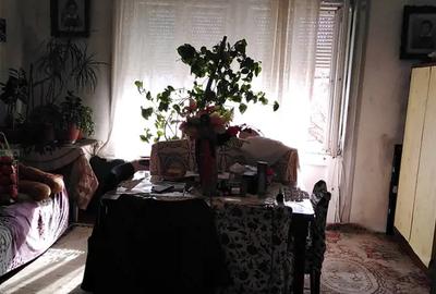 DE VINZARE apartament - 1