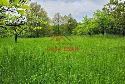 Teren intravilan in Scorteni--3999mp--55.000e - 3