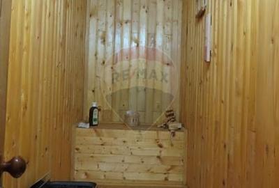 Casă cu 9 camere cu Canalizare în Ultracentral - 18