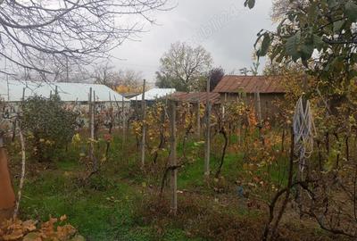 Casa batraneasca, 1000 mp, la 14 km de oras - 1