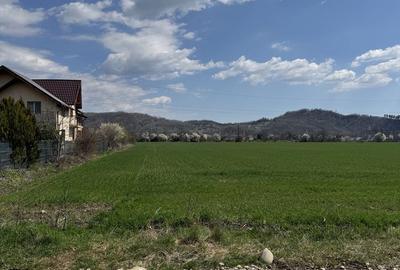 Teren de 4500 mp, în Exterior Vest - 1