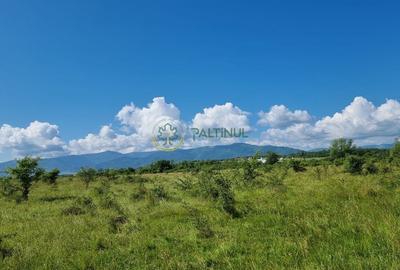 Teren de vânzare în Calea Cisnădiei, Sibiu - 550 mp, PUZ aprobat, vedere superbă - 5