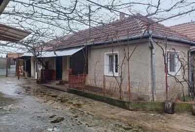 Casă cu 3 camere cu Teren 1013 Mp în Bogei - 1