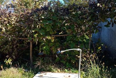 Vand casa in Reteag - 2