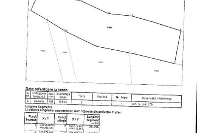 Teren agricol extravilan de 50000 mp, în Rucăr - 7