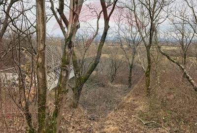 Teren agricol extravilan de 2900 mp, în Independenței - 15