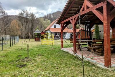 Casă singur în curte - Mureș - Câmpu Cetății - 28