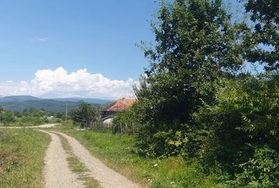 Teren de 5600 mp, în Hălmagiu - 2