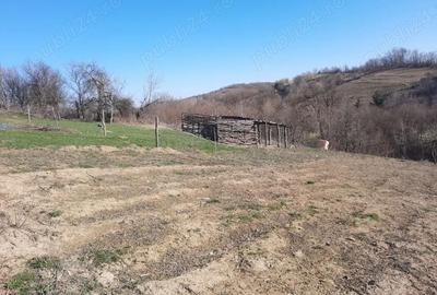 Casă cu 2 camere cu Teren 17240 Mp în Saca - 2