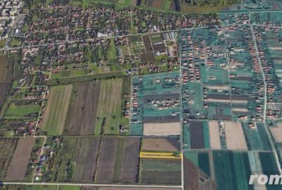 Teren intravilan in Paulesti 2700 mp 33000 E ( ID 22756) - 3