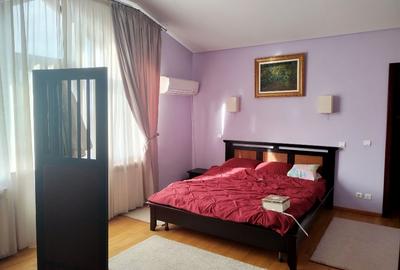 Casă individuală cu 5 camere cu Teren 10000 Mp în Bucium - 11