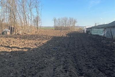 Spațiu comercial, în Chiselet - 8