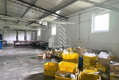 Spatii productie si depozitare, zona Sebis - Prunisor-Carand - 12