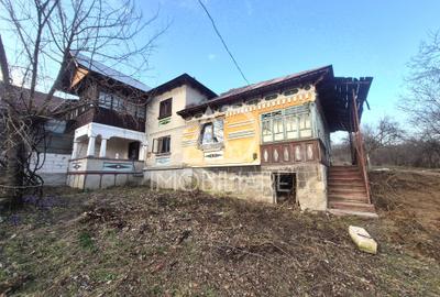 Casă individuală cu 4 camere cu Teren 1748 Mp în Cernișoara - 2