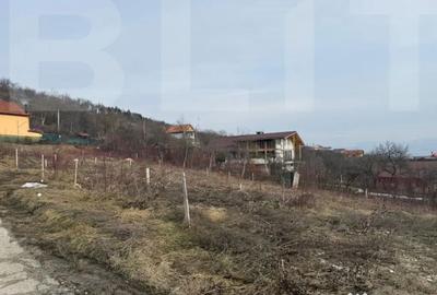 Teren de 492 mp, în Micro 15