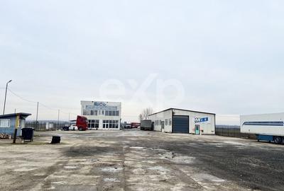 Birou, de 1,100 mp, în Găești - 6