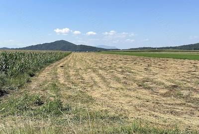 Teren de 5000 mp, în Hărman - 2