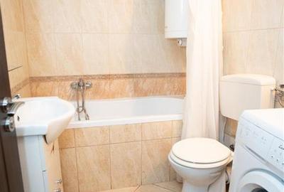 Apartament ultracentral tip Loft - 4