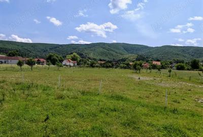 Teren de 7800 mp, în Dobârlău - 5