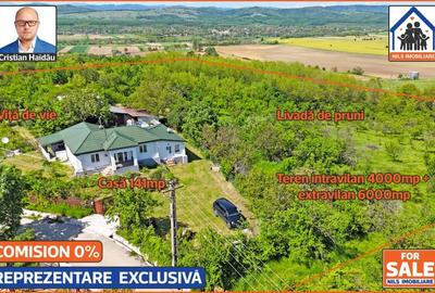 Casă individuală cu 4 camere cu Teren 10000 Mp în Podenii Vechi - 2