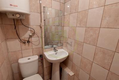 Garsonieră semidecomandată în Valea Rosie - 4